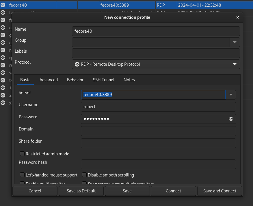 &ldquo;RDP setup in Remmina&rdquo;